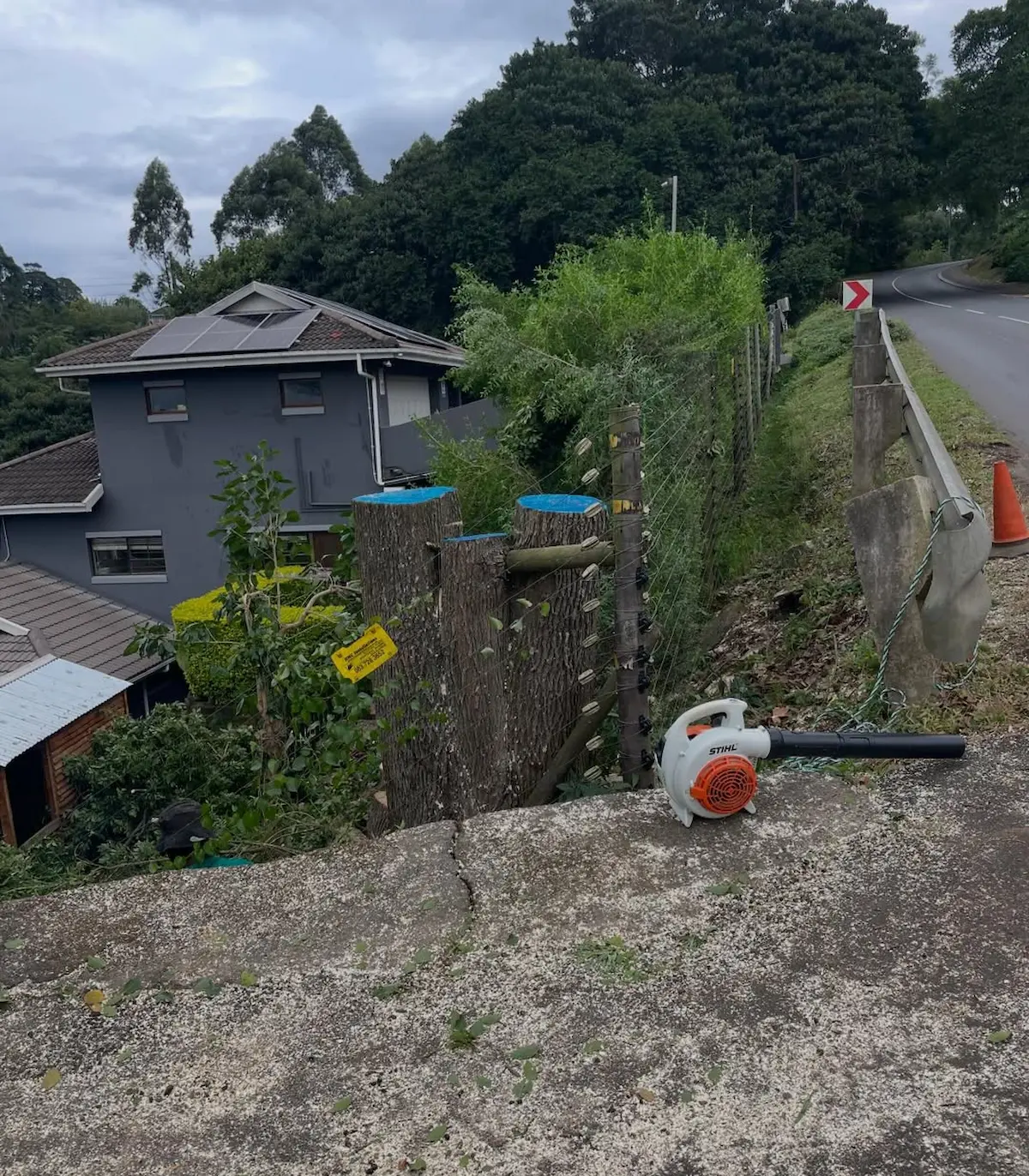 Completed tree removal with clean site, Hillcrest