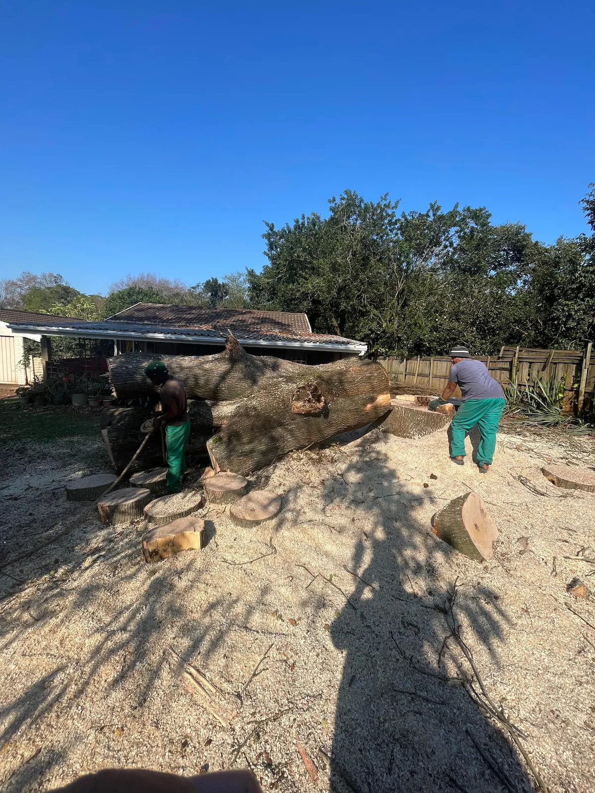 Trent's Tree Felling Forestry team at work in Hillcrest, KZN
