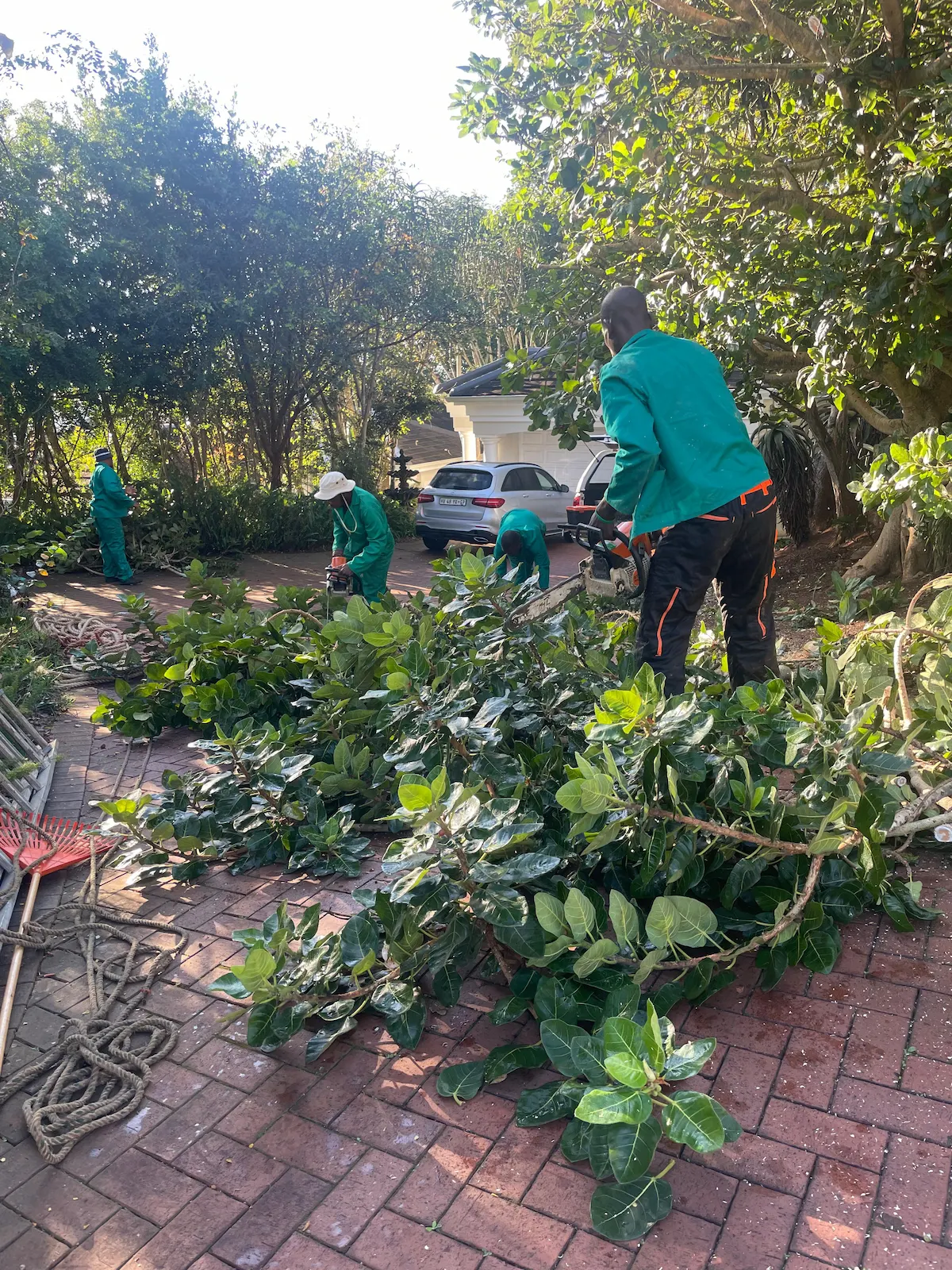 Tree removal and clean-up, Waterfall KZN